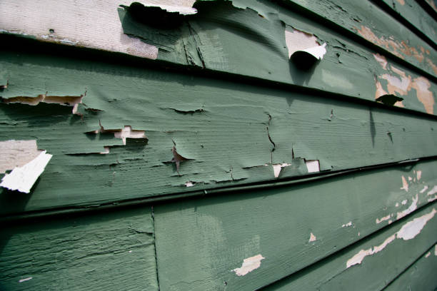 Same-Day Junk Removal Services in Red Lodge, MT